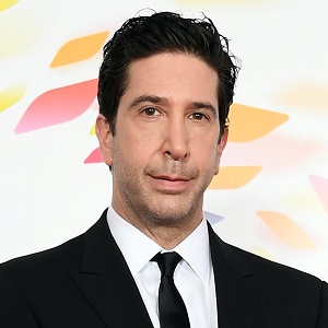 celebrity David Schwimmer